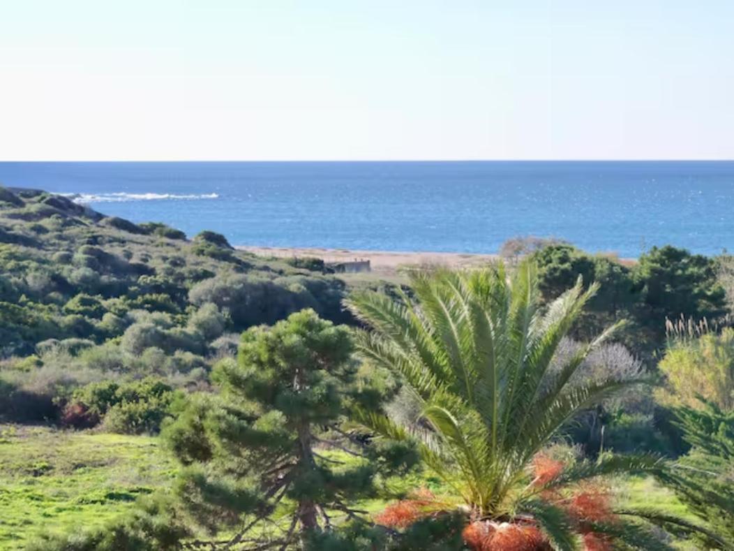 פרופריאנו Studio 33M² Vue Mer מראה חיצוני תמונה